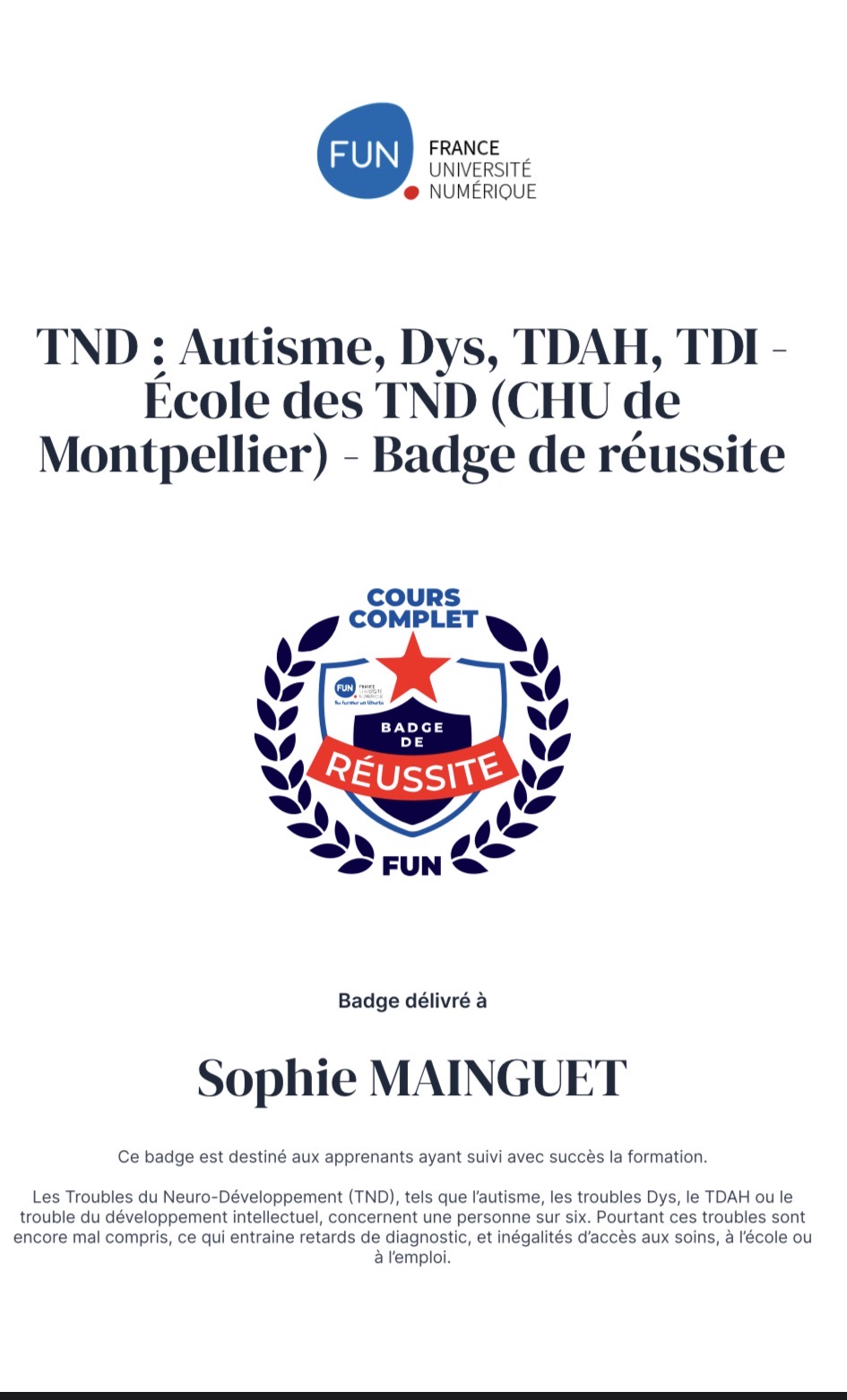 badge formation numerique TND